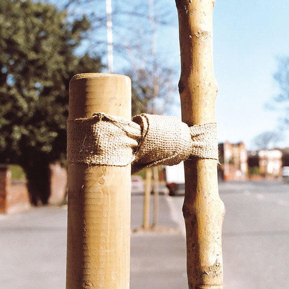 Natural Biodegradable Tree Tie
