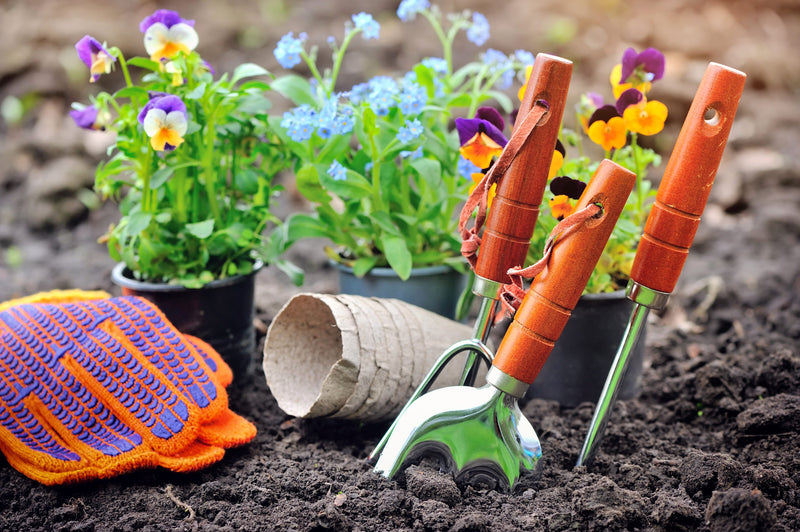 Simple Ten Top Tips for Gardening Success!