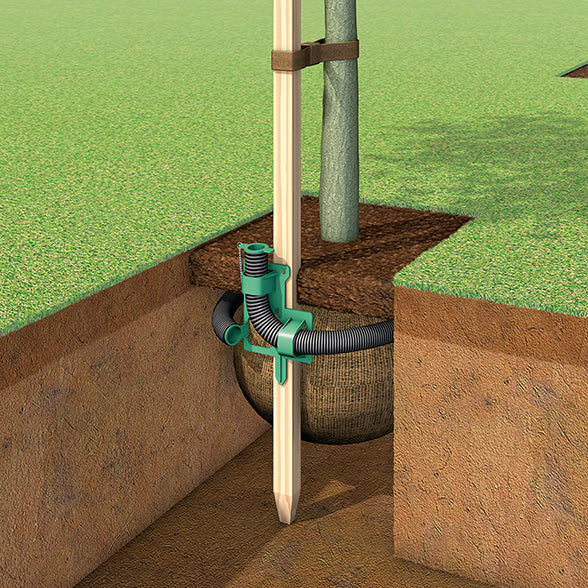 Small Tree Irrigation System